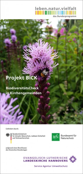 Projekt BiCK